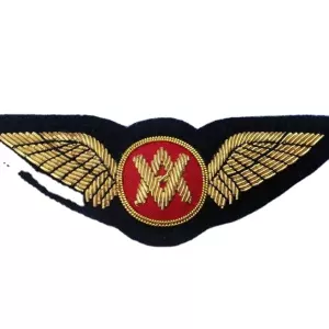 Art # AQE-B-Blazer Wings-02