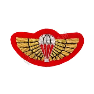 Art # AQE-B-Blazer Wings-22